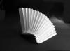 Gathered Pleats