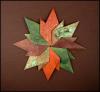 autumn leaves