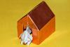 Dog in a Doghouse