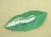 Caterpillar on a Leaf