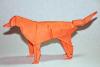 Irish Setter