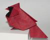 Northern cardinal