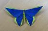 A Butterfly for Jan Polish