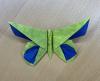 A Butterfly for Anne LaVin