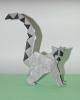 Ring-tailed Lemur