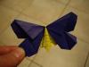 The La Fosse Moth 