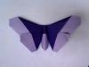 Joyce Rockmore Butterfly