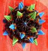 Sea urchin