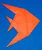 Butterfly Fish
