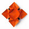 Fiore o stella 3