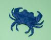 Crab