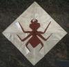 Chocolate Covered Ant