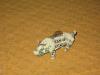 Bill Piggy Bank