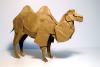 Bactrian Camel