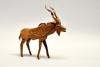 Greater Kudu