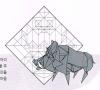 Wild Boar
