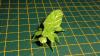 Leaf Insect