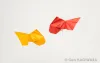 Goldfish