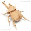 Samurai Helmet Beetle