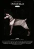 Doberman