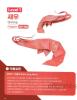 Shrimp