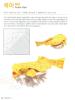 Puffer Fish