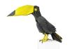 Toco Toucan