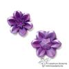 Clematis
