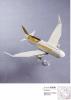 Jet Airliner