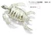 Archelon Skeleton