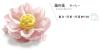 Lotus flower
