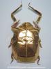 Jambar Giant Scarab