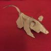 Souris Mouse