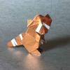 Common Racoon
