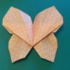 Janneke's Butterfly