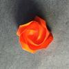 Rose of Roses