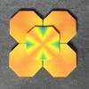 Wildflowers