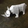White Rhino