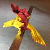 Macaw
