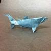 Blue Shark
