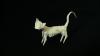 Cat (CP)
