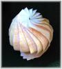 Sphere with 16 Flaps