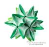 Trifolium