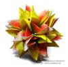 Tropic Fruit
